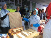 Festival Kampung Berseri Astra - LIPI